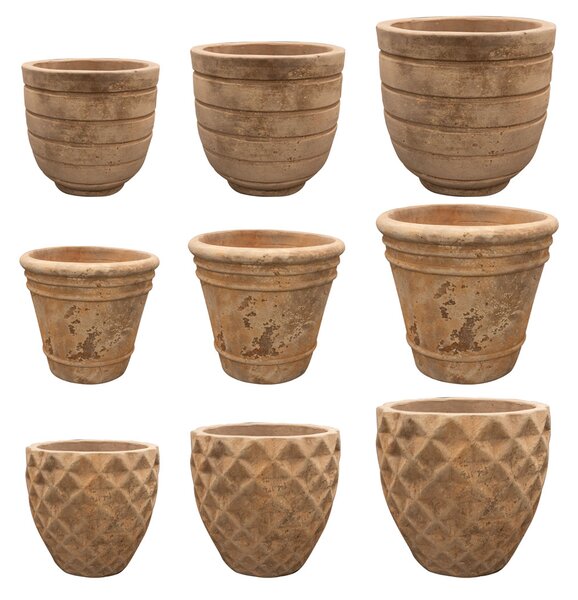 Ter Steege Paleta sad Quintus D114 H117, 3 druhy