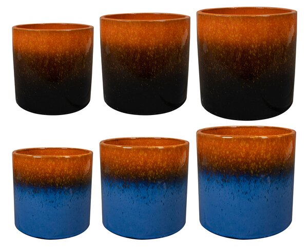 Ter Steege Paleta sad Carmen 24pc colour D114 H71, 2 druhy