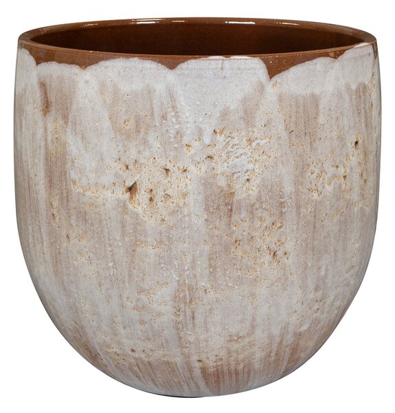 Ter Steege Obal Suus latte D23 H20