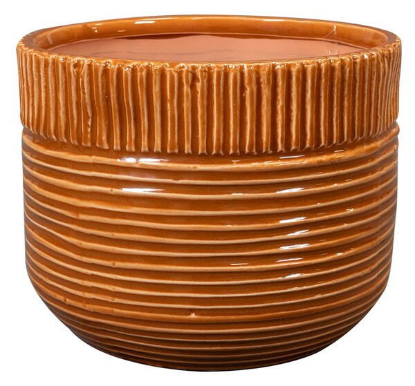 Ter Steege Obal Nona horizon D17 H15