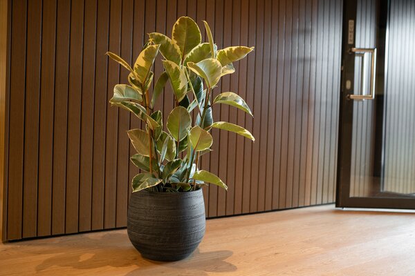 Ter Steege Obal Joyce anthracite D31 H28