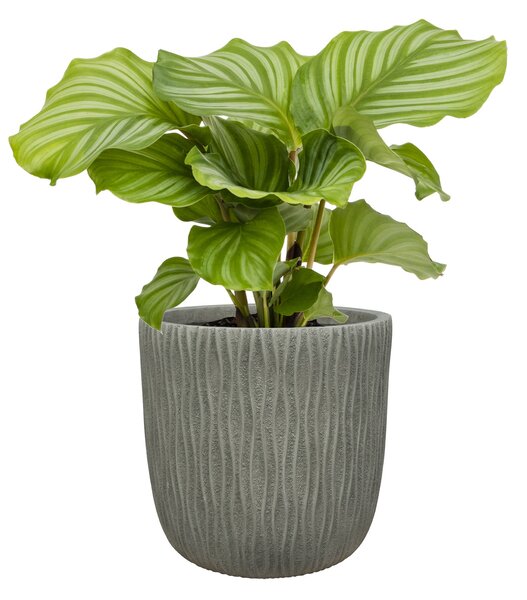 Ter Steege Sada 3 obalů Viggo mint D37 H35