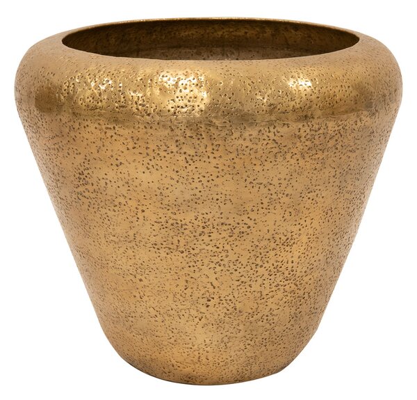Ter Steege Obal Naya gold D45 H40
