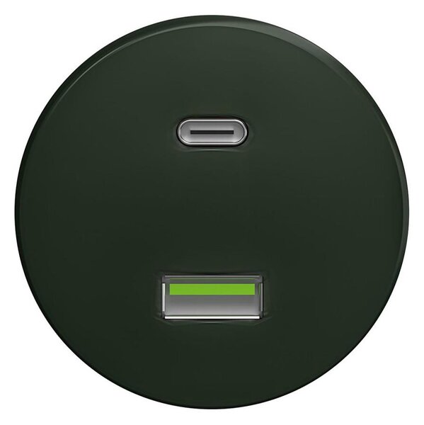 Reblig - Retro USB zásuvka A+C bez rámečku zelená