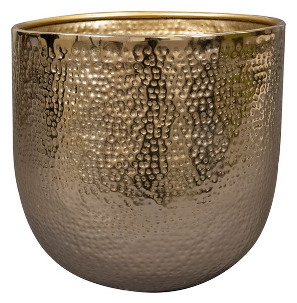 Ter Steege Obal Kristy gold D14 H14