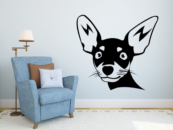 Čivava - Chihuahua - Samolepka na zeď - 109x100cm