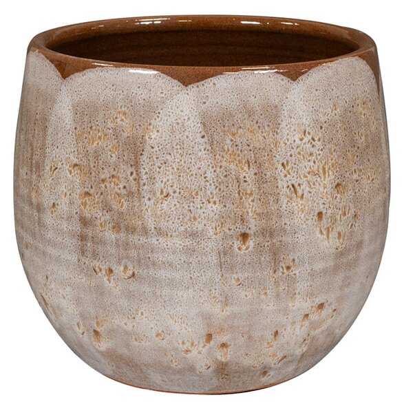 Ter Steege Obal Suus latte D15 H13