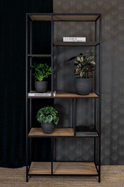 Ter Steege Obal Rinca shiny black D15 H13