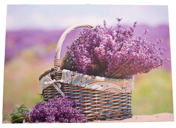 Obraz na plátně s levandulí Provence, 30 x 40 cm