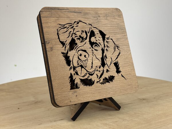 "Bernardýn, Salašnický pes" lampa 19x19cm provedení povrchu: dub