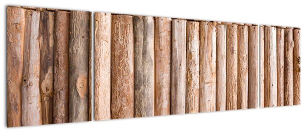 Obraz - Bambus (170x50 cm)