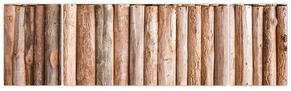 Obraz - Bambus (170x50 cm)