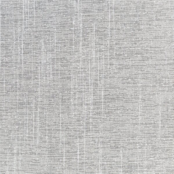 ZÁCLONA NA KROUŽČÍCH AMIRA 140X250 CM BÍLÁ