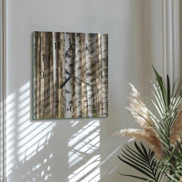 Skleněné hodiny na stěnu Břízy zskc-30x30-00177325