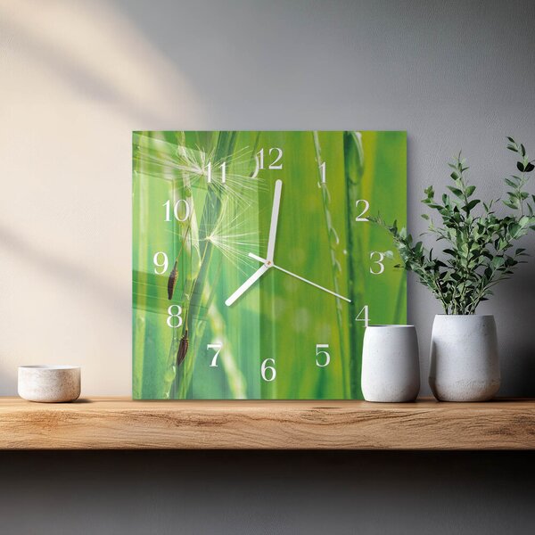 Skleněné hodiny Tráva zskb-30x30-00081403
