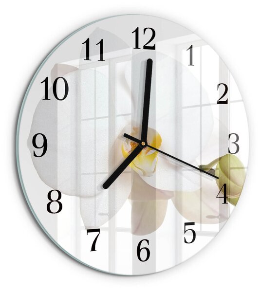Skleněné nástěnné hodiny Orchidej zsoc-fi30-00175879