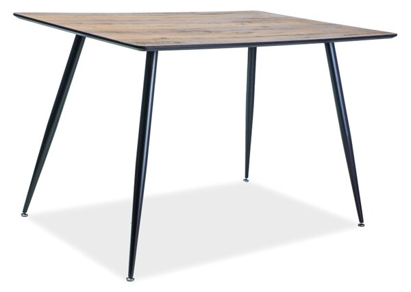 Stůl REMUS ořech/černá kostra 120x80, 120 x 80 cm, černá , ořech