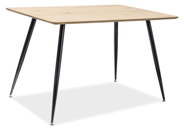 Stůl REMUS dub/černá kostra 120x80, 120 x 80 cm, černá , dub