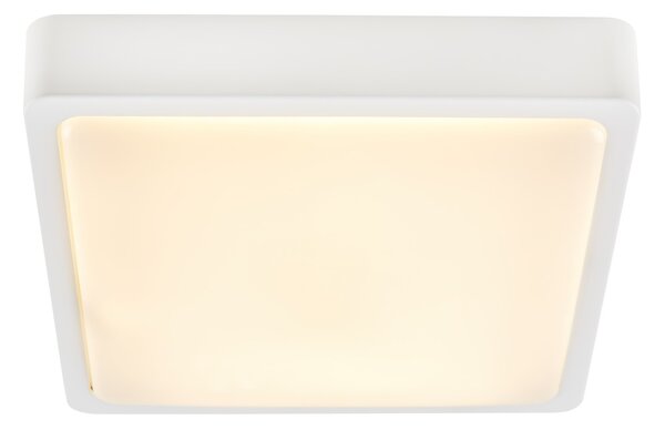 SLV 1003449 Ainos, stropní svítidlo, LED 17W 3000/4000K, bílá, 30x30cm, IP65