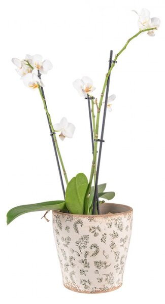 Béžový antik keramický obal na květináč se zelenými květy L – 17x16 cm