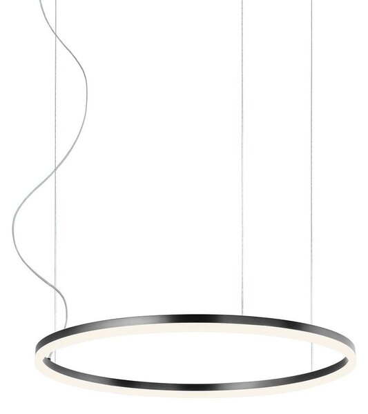 Redo 01-1948-DALI Orbit direct, závěsné kruhové svítidlo, 40,5W LED 3000K DALI, černá, prům. 60cm