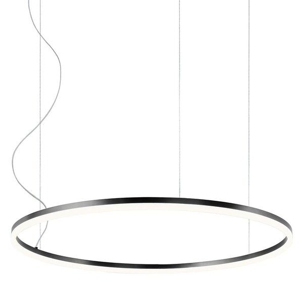 Redo 01-1949-DALI Orbit direct, závěsné kruhové svítidlo, 55W LED 3000K DALI, černá, prům. 80cm
