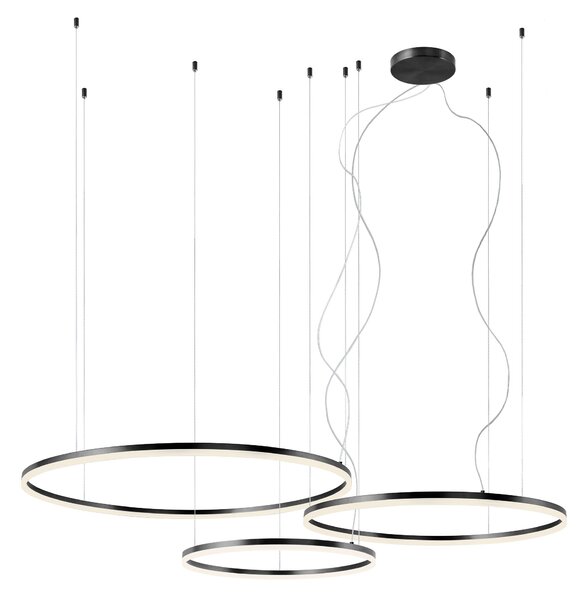Redo 01-1954-DALI Orbit direct, závěsné kruhové svítidlo, 40,5+55+68W LED 3000K DALI, černá, prům. 60+80+100cm