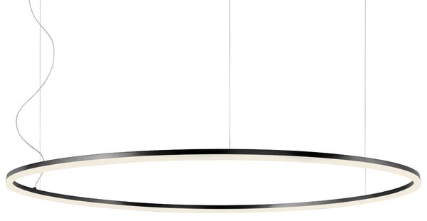 Redo 01-1952-DALI Orbit direct, závěsné kruhové svítidlo, 110W LED 3000K DALI, černá, prům. 150cm
