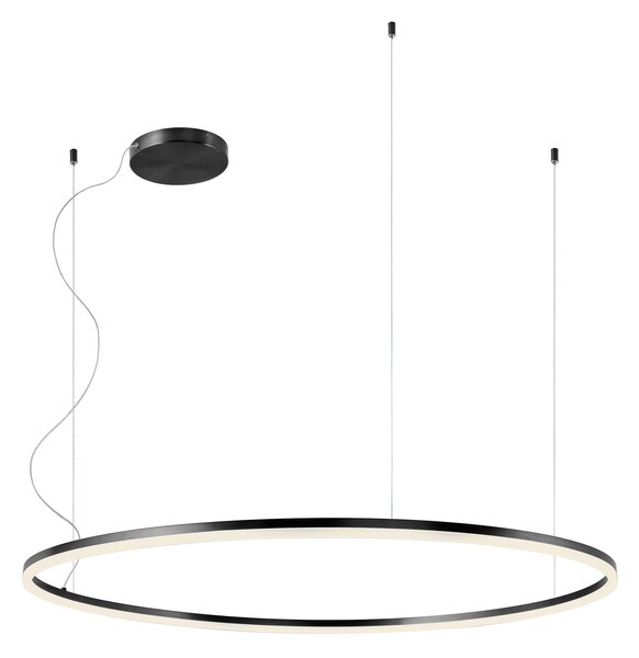Redo 01-1951-DALI Orbit direct, závěsné kruhové svítidlo, 76W LED 3000K DALI, černá, prům. 120cm