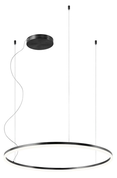 Redo 01-1949-DALI Orbit direct, závěsné kruhové svítidlo, 55W LED 3000K DALI, černá, prům. 80cm
