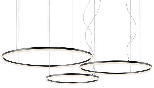 Redo 01-1954-DALI Orbit direct, závěsné kruhové svítidlo, 40,5+55+68W LED 3000K DALI, černá, prům. 60+80+100cm