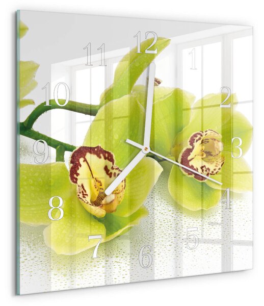 Skleněné hodiny Orchidej zskb-30x30-00084027