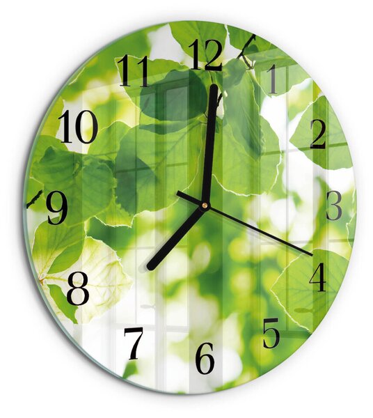 Skleněné nástěnné hodiny Listy zsoc-fi30-00057677