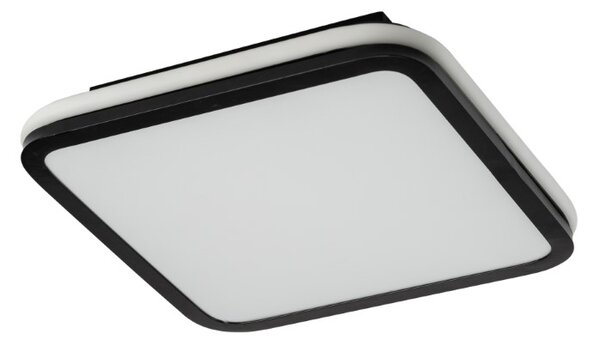RABALUX 71399 Serkan stropní svítidlo LED 43W/2600lm 3000-6500K černá, bílá, stmívatelné, dálkový ovladač