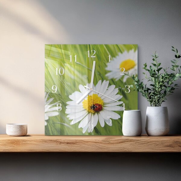 Skleněné hodiny Sedmikrásky zskb-30x30-00081314