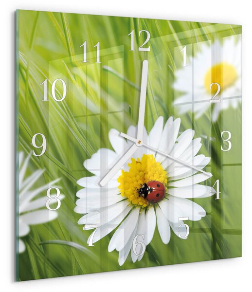 Skleněné hodiny Sedmikrásky zskb-30x30-00081314