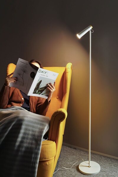 LED podlahová lampa Immax TIT, bílá se stříbrnými prvky, CCT
