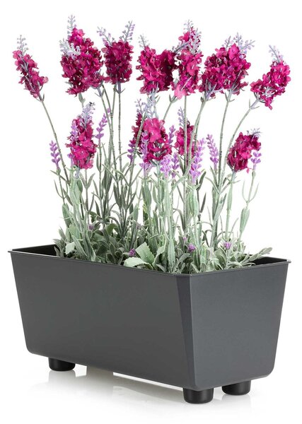 PLASTOVÝ KVĚTINÁČ SALVIA 28,5X17 CM ANTRACITOVÁ