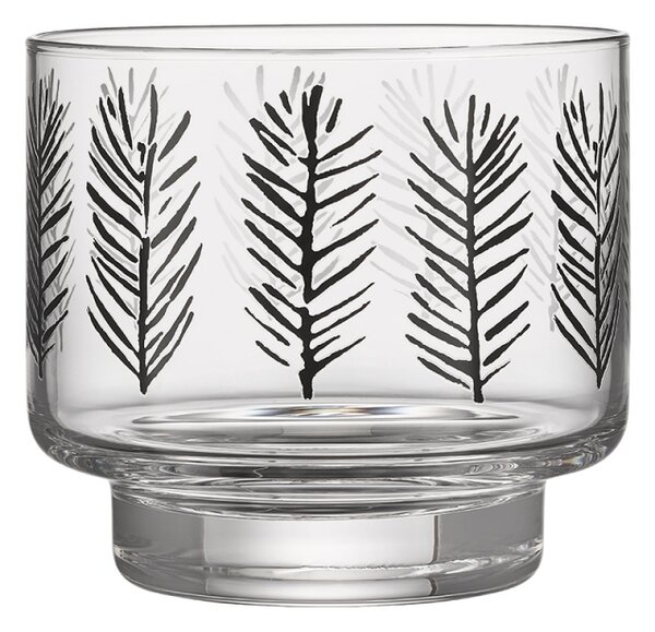 Muurla Svícen Spruce