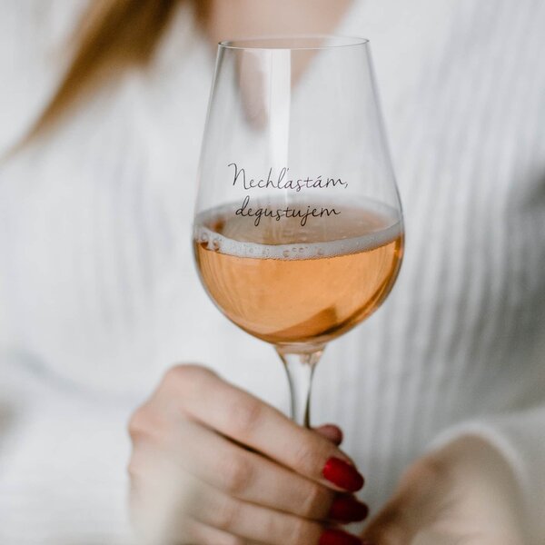 Sklenice na víno Nechľastám, degustujem + vánoční krabička – SK