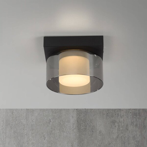 Paul Neuhaus LED stropní svítidlo Rika, Ø 15 cm, sklo, stmívatelné, stmívatelný, Černá, Obývací pokoj / jídelna, Sklo, Moderní