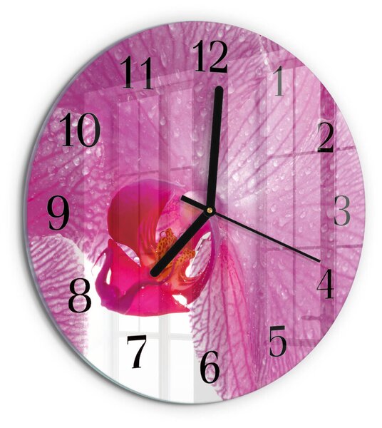 Skleněné nástěnné hodiny Orchidej zsoc-fi30-00178018