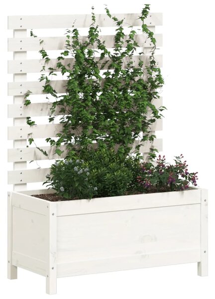Zahradní truhlík s mřížkou bílý 79x39,5x114 cm masivní borovice