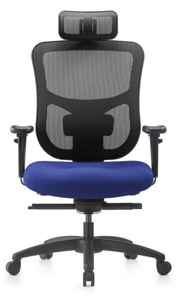 Kancelářská ergonomická židle NATUS Q24 – síťovaná, nosnost 180 kg, záruka 3 roky černá