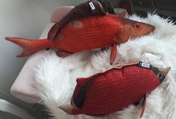 Červený polštář Fish Paul - 93*34*17cm - J-Line by Jolipa