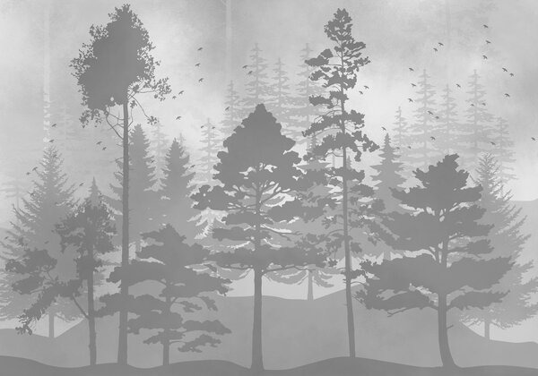 Fototapeta Skupina stromů v lese, Přírodní fototapety, Populární fototapety - Tapeko.co.cz