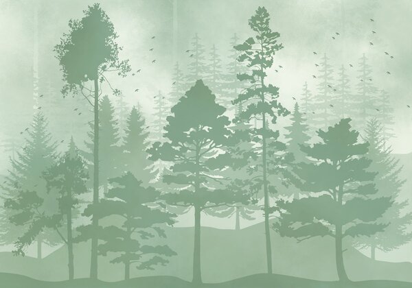 Fototapeta Skupina stromů v lese, Přírodní fototapety, Populární fototapety - Tapeko.co.cz