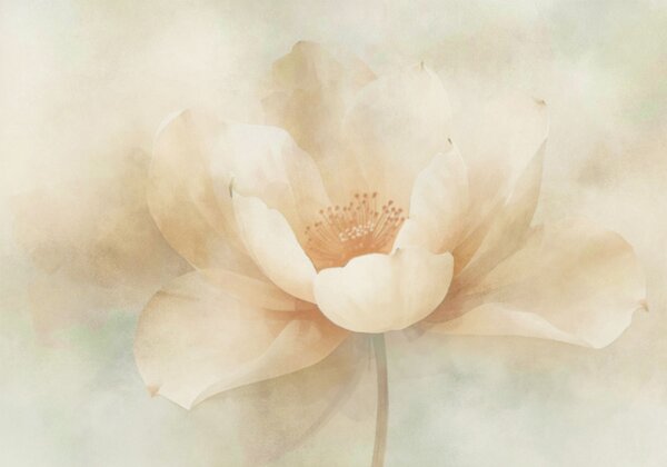 Fototapeta Jemné okvětní lístky v nežných odstínech, Květinové fototapety, Populární fototapety - Tapeko.co.cz