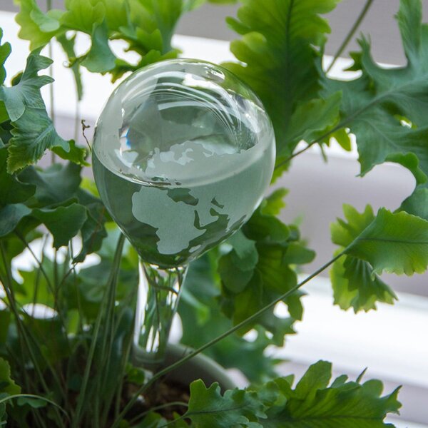 Zavlažovací koule Globe, 20x6,5 cm, transparentní