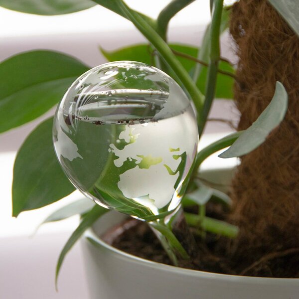 Zavlažovací koule Globe, 20x6,5 cm, transparentní